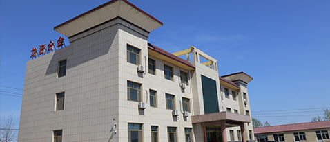 沧州龙浩管道装备有限公司